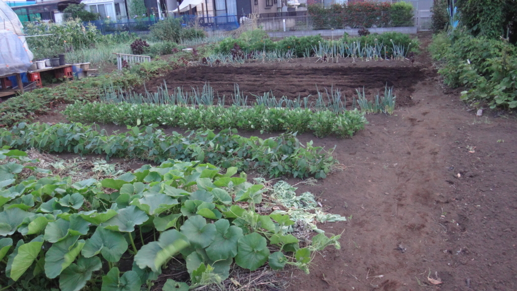 f:id:cafelegume:20180713230907j:plain f:id:cafelegume:20180713230907j:plain