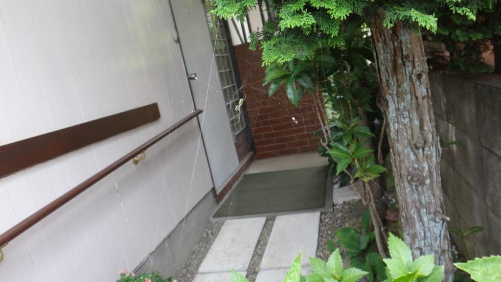 f:id:cafelegume:20180725205828j:plain