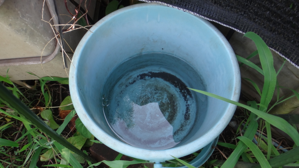 f:id:cafelegume:20180729204046j:plain f:id:cafelegume:20180729204046j:plain