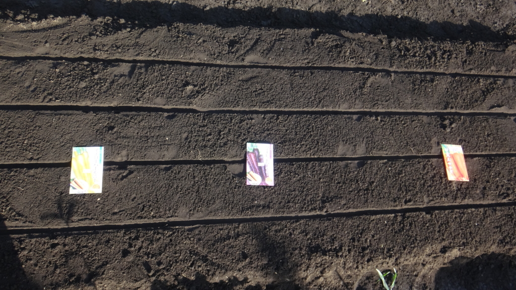 f:id:cafelegume:20180729221450j:plain f:id:cafelegume:20180729221450j:plain