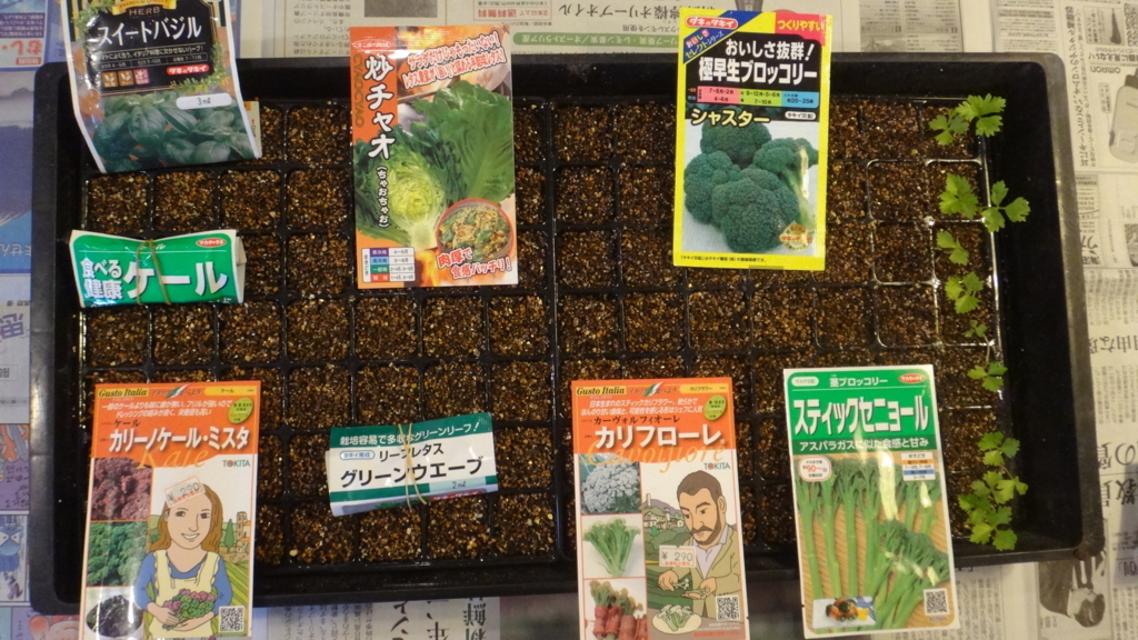 f:id:cafelegume:20180730232513j:plain
