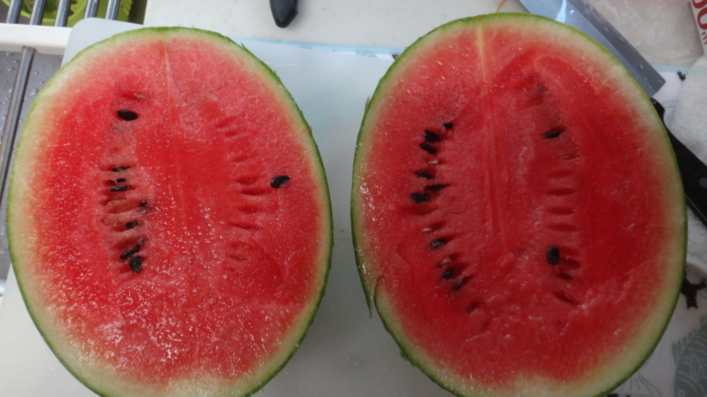 f:id:cafelegume:20180731202519j:plain