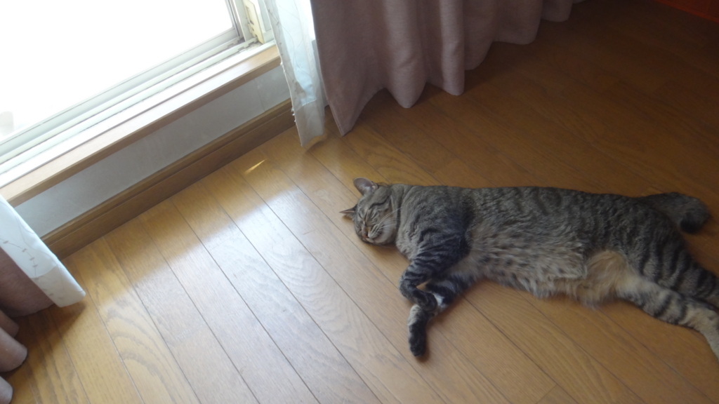 f:id:cafelegume:20180801230222j:plain