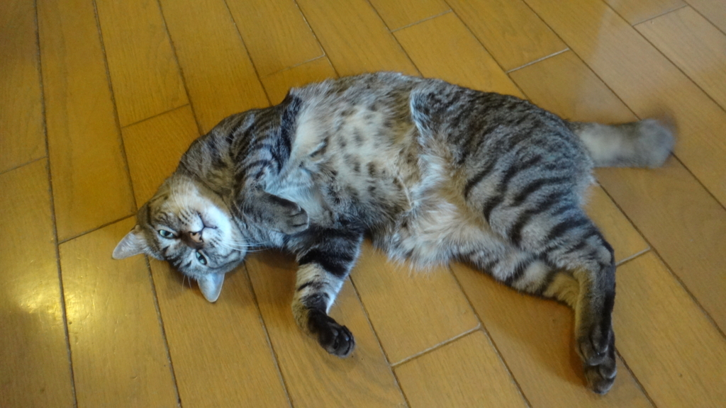 f:id:cafelegume:20180802225027j:plain