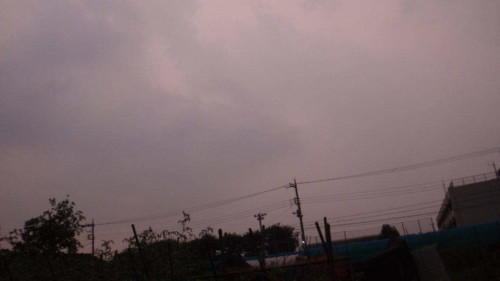 f:id:cafelegume:20180804010513j:plain f:id:cafelegume:20180804010513j:plain