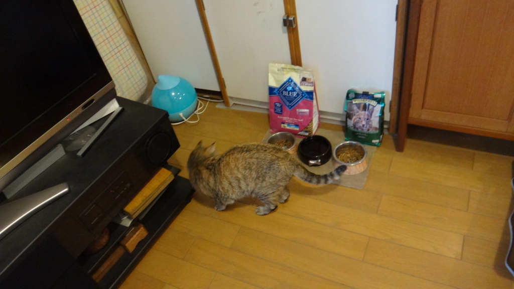 f:id:cafelegume:20180806233433j:plain
