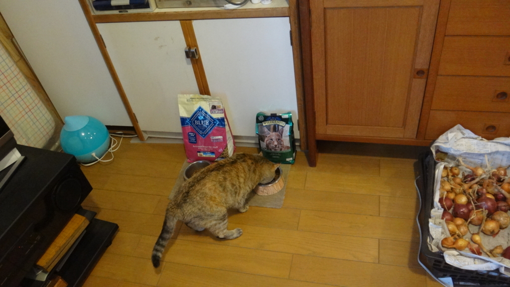 f:id:cafelegume:20180806233845j:plain