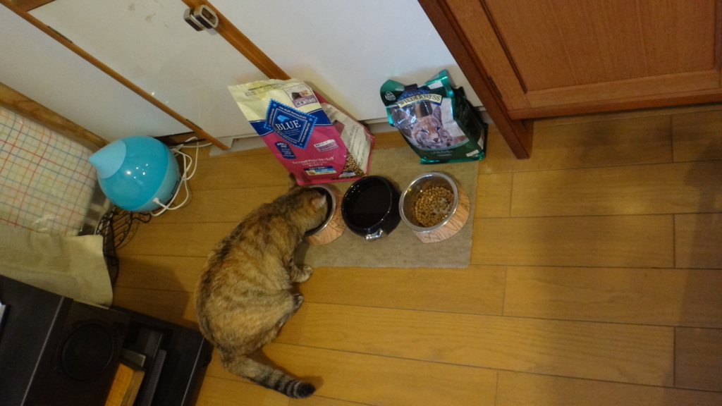 f:id:cafelegume:20180806234100j:plain