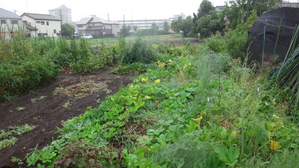 f:id:cafelegume:20180809001139j:plain