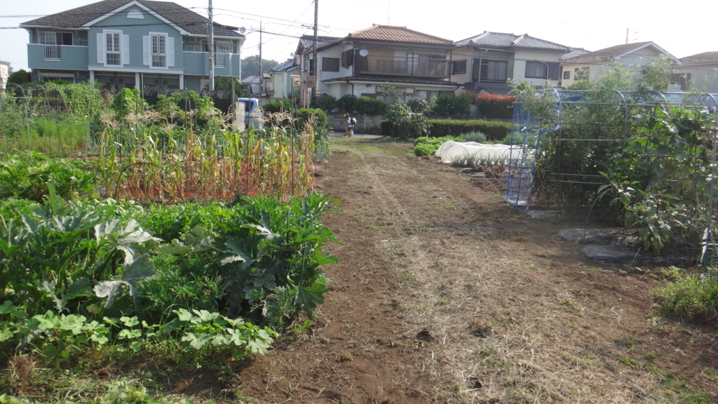 f:id:cafelegume:20180809022452j:plain