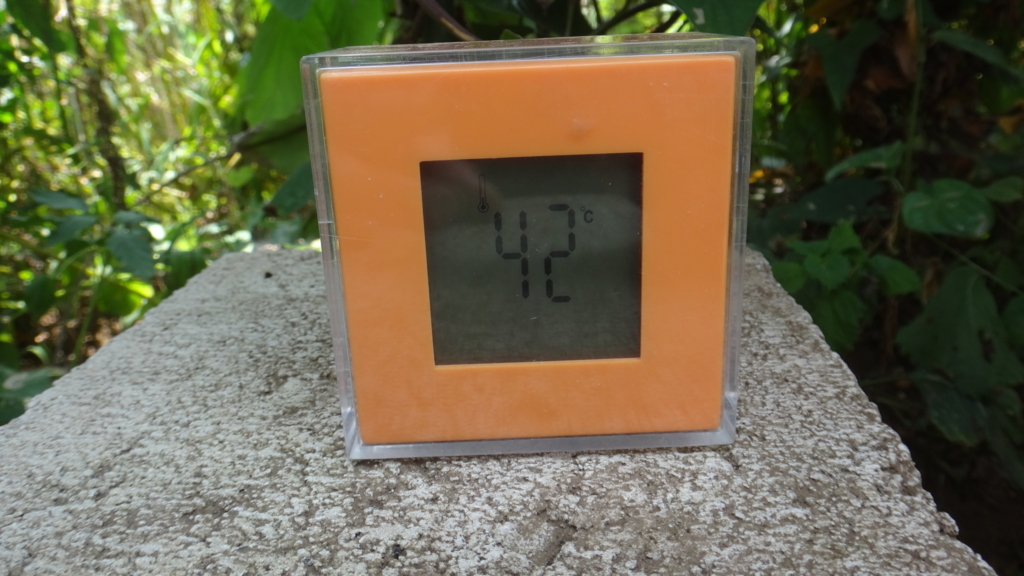 f:id:cafelegume:20180810002827j:plain