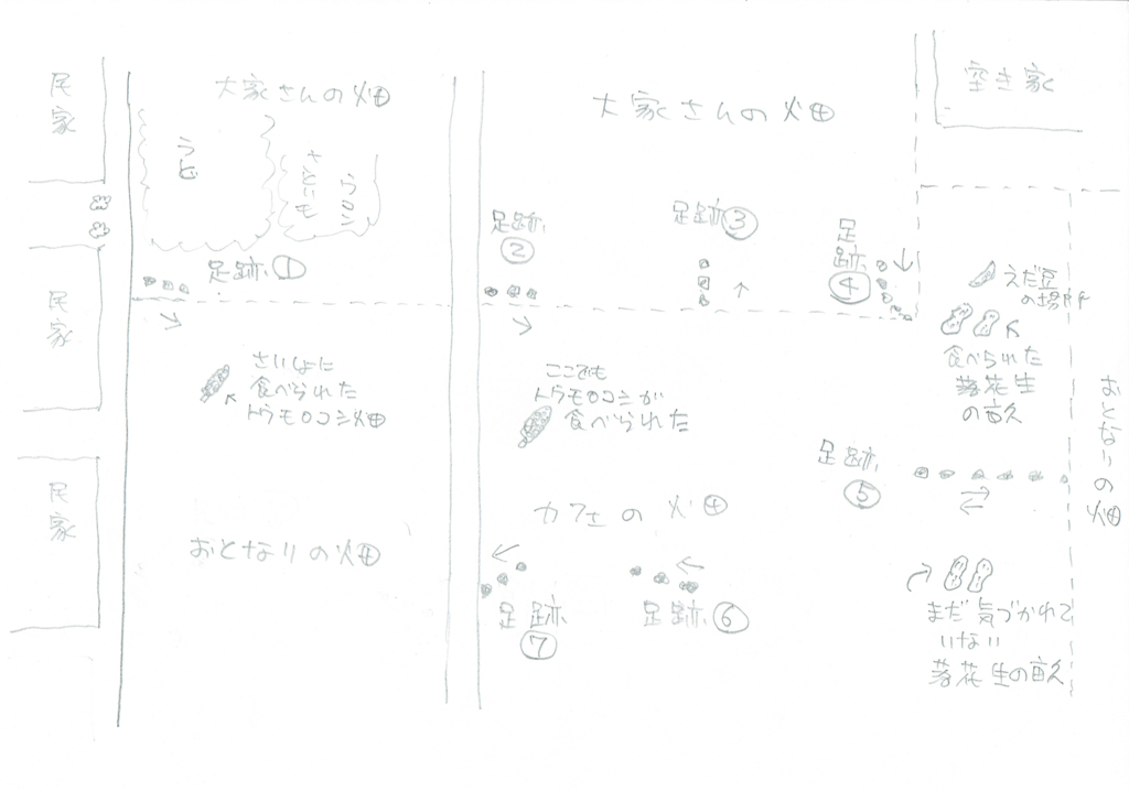 f:id:cafelegume:20180810235735j:plain