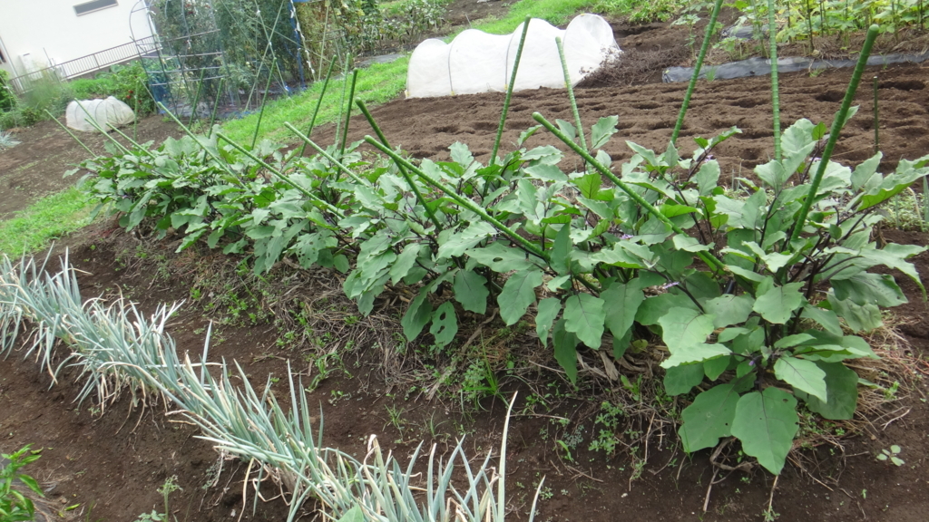 f:id:cafelegume:20180812235206j:plain f:id:cafelegume:20180812235206j:plain