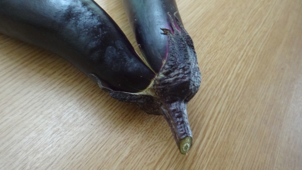f:id:cafelegume:20180813001312j:plain f:id:cafelegume:20180813001312j:plain