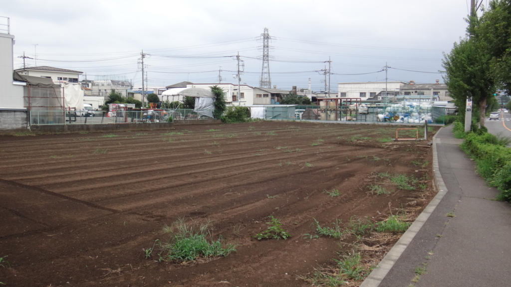 f:id:cafelegume:20180816234046j:plain f:id:cafelegume:20180816234046j:plain