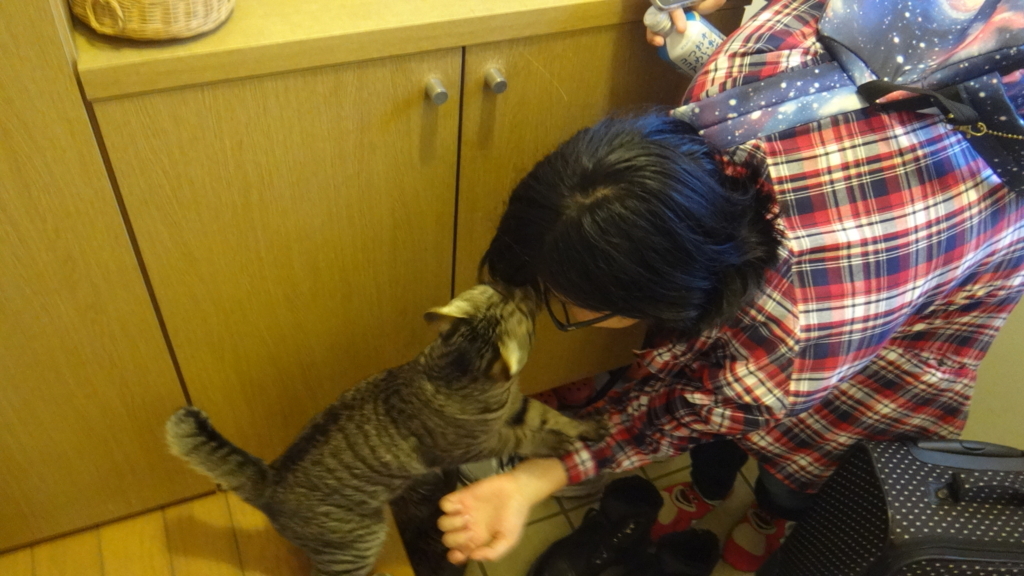 f:id:cafelegume:20180821234630j:plain