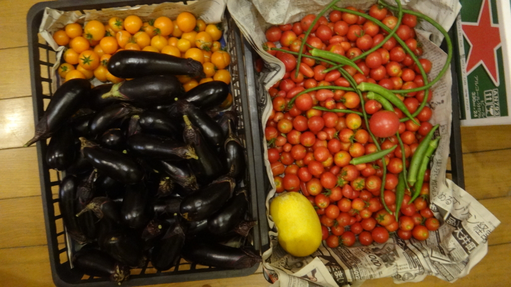 f:id:cafelegume:20180823234250j:plain f:id:cafelegume:20180823234250j:plain
