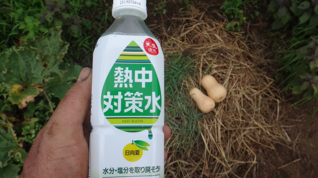 f:id:cafelegume:20180831000950j:plain f:id:cafelegume:20180831000950j:plain