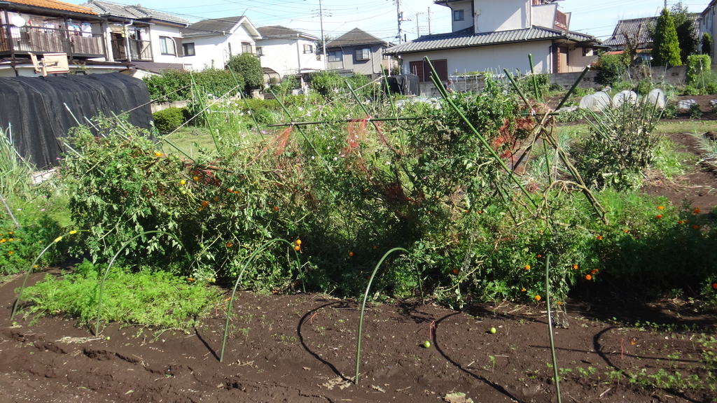 f:id:cafelegume:20181001221135j:plain f:id:cafelegume:20181001221135j:plain