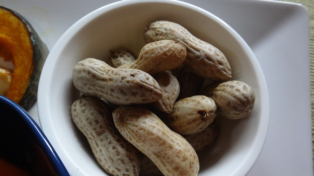 f:id:cafelegume:20181009221619j:plain