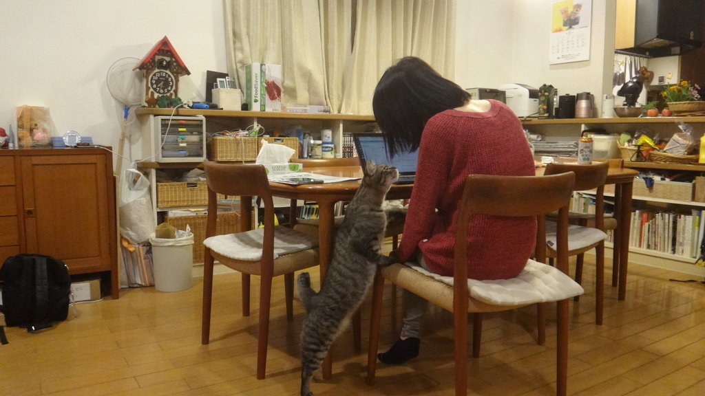 f:id:cafelegume:20181015232209j:plain