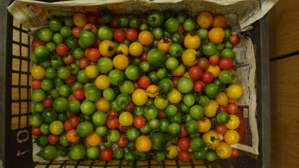 f:id:cafelegume:20181020000100j:plain f:id:cafelegume:20181020000100j:plain