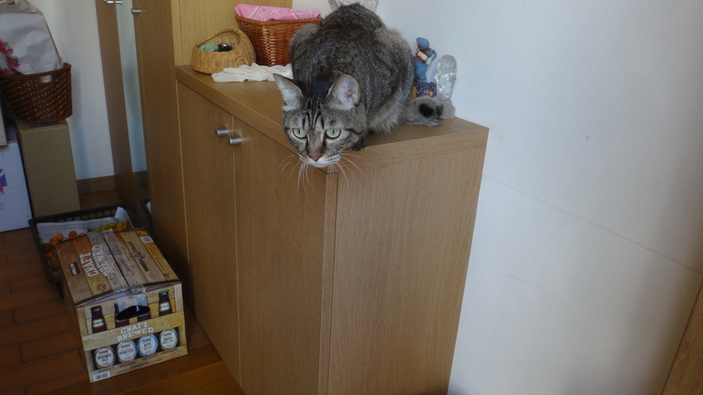f:id:cafelegume:20181102232033j:plain