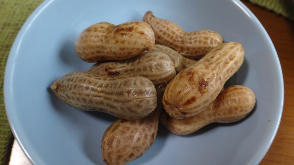 f:id:cafelegume:20181106194534j:plain