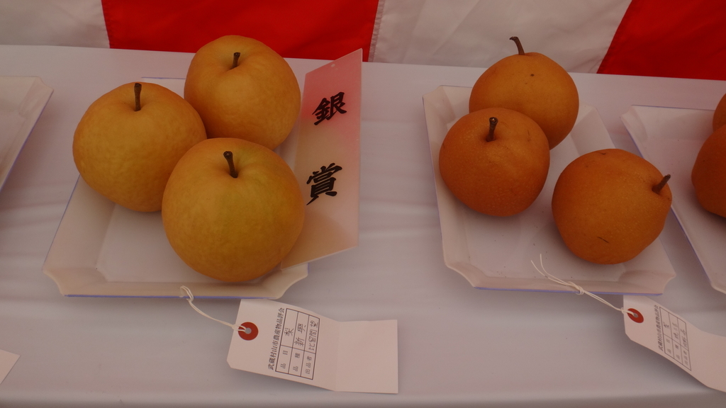 f:id:cafelegume:20181110230046j:plain