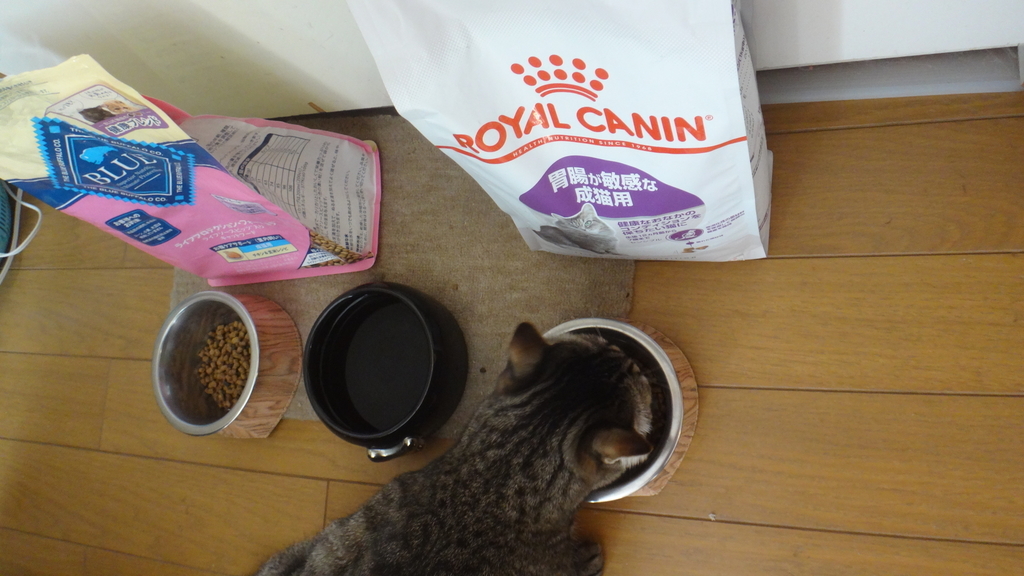 f:id:cafelegume:20181114221417j:plain
