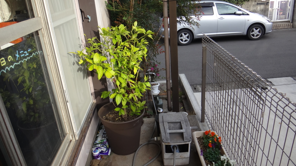 f:id:cafelegume:20181210005124j:plain