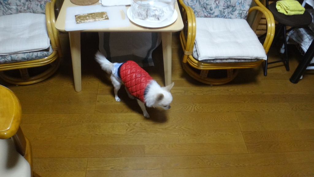 f:id:cafelegume:20181215232413j:plain