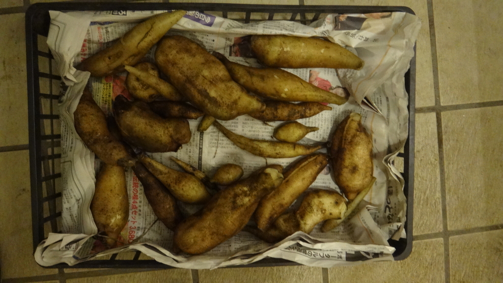 f:id:cafelegume:20181222185142j:plain f:id:cafelegume:20181222185142j:plain