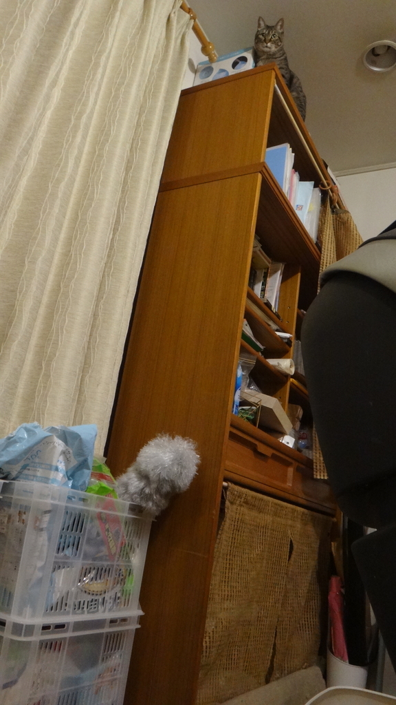 f:id:cafelegume:20181223230942j:plain