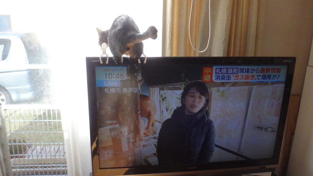 f:id:cafelegume:20181223232335j:plain