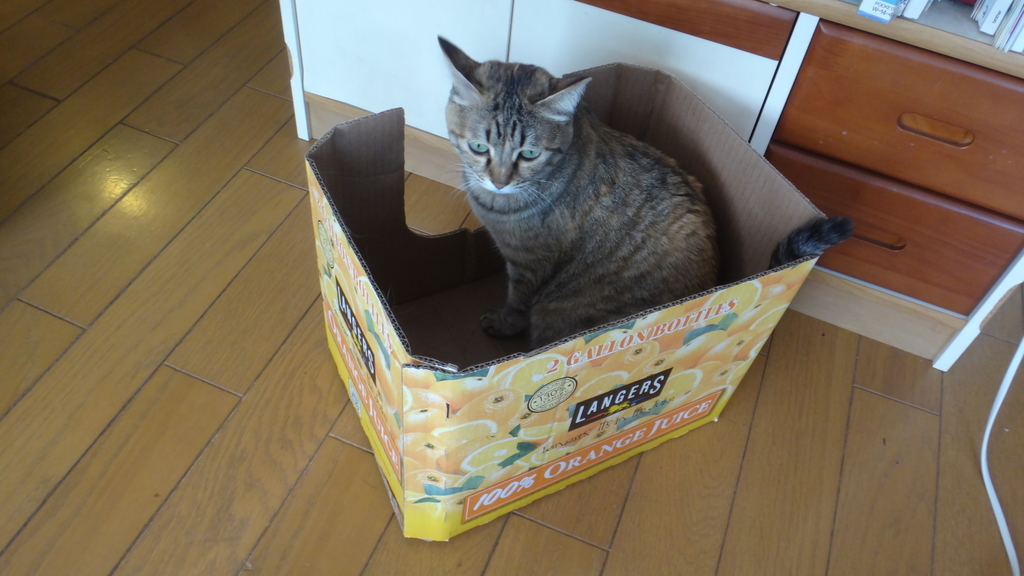 f:id:cafelegume:20190102195027j:plain f:id:cafelegume:20190102195027j:plain
