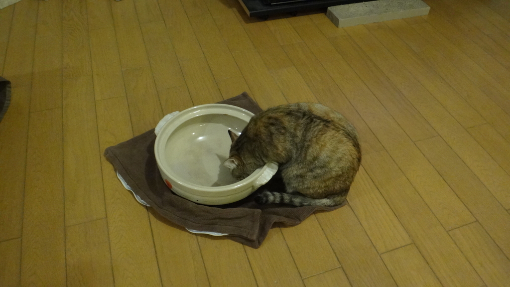 f:id:cafelegume:20190113195001j:plain