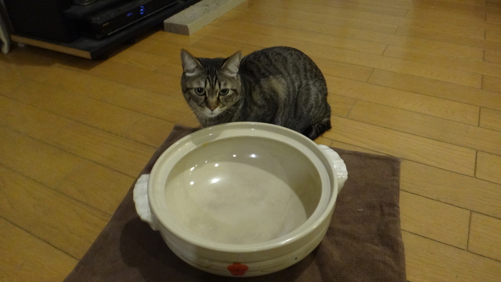 f:id:cafelegume:20190113213946j:plain