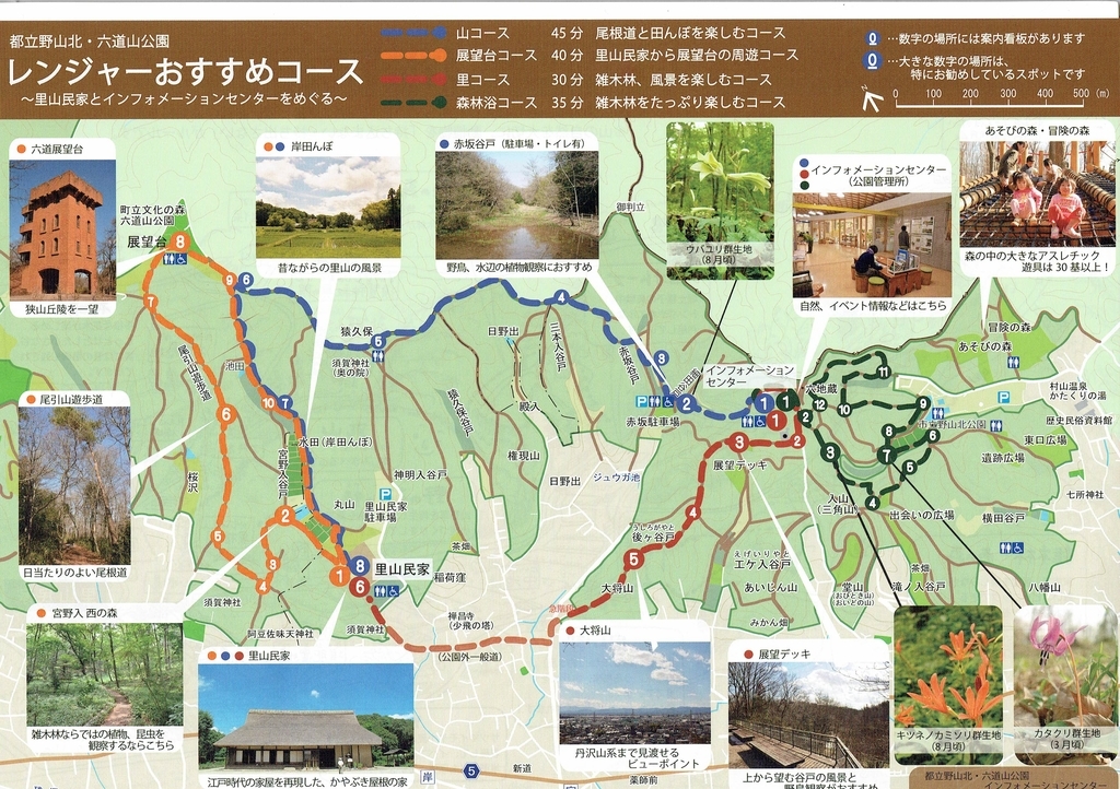 f:id:cafelegume:20190118201612j:plain
