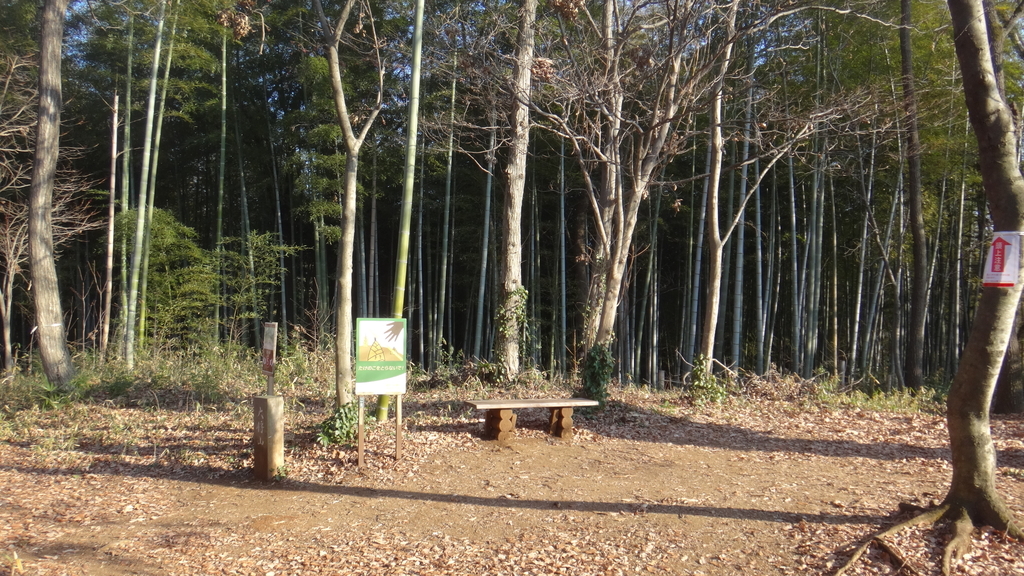 f:id:cafelegume:20190118220024j:plain