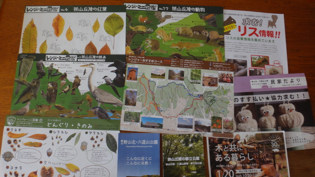 f:id:cafelegume:20190118225848j:plain