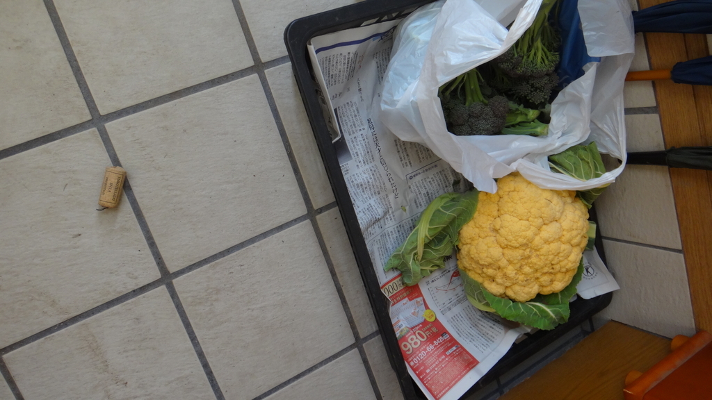 f:id:cafelegume:20190122221448j:plain f:id:cafelegume:20190122221448j:plain