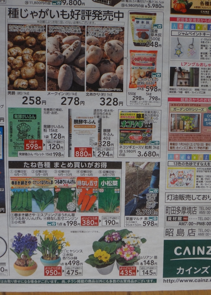 f:id:cafelegume:20190125004514j:plain f:id:cafelegume:20190125004514j:plain