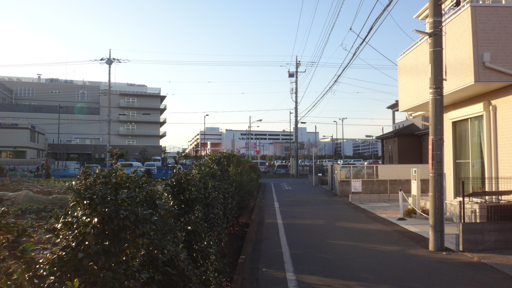 f:id:cafelegume:20190127013654j:plain f:id:cafelegume:20190127013654j:plain