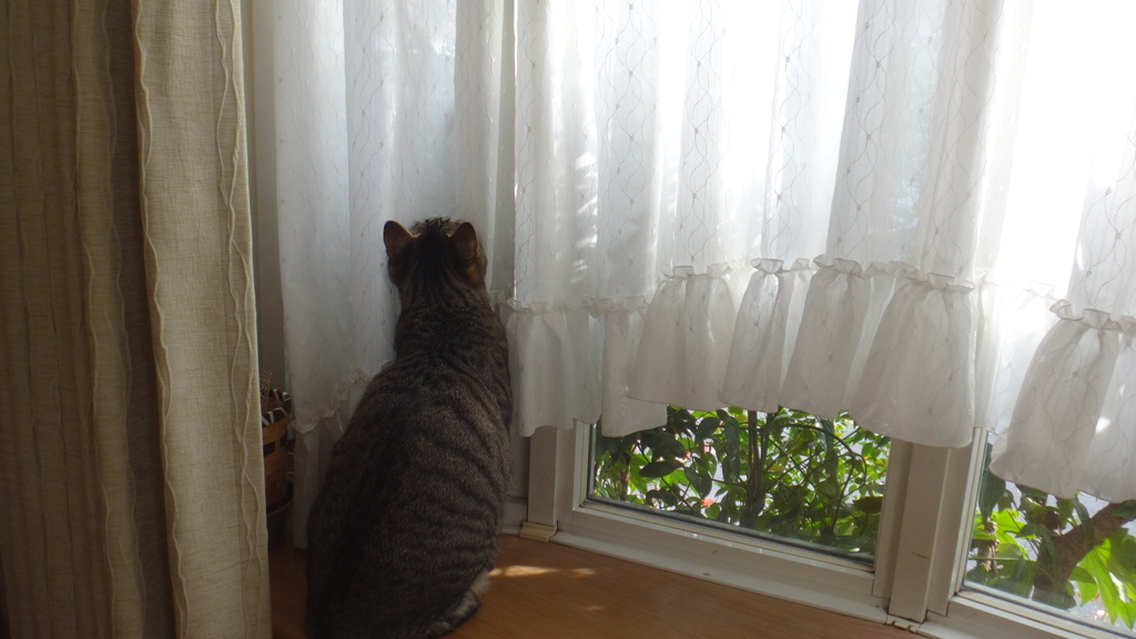 f:id:cafelegume:20190129013835j:plain