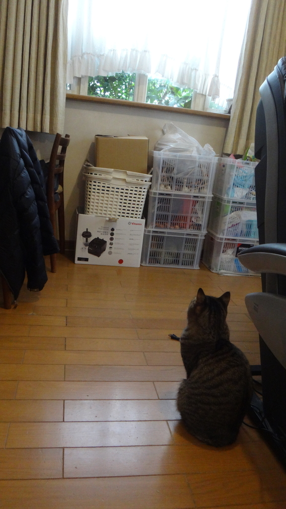 f:id:cafelegume:20190129015056j:plain