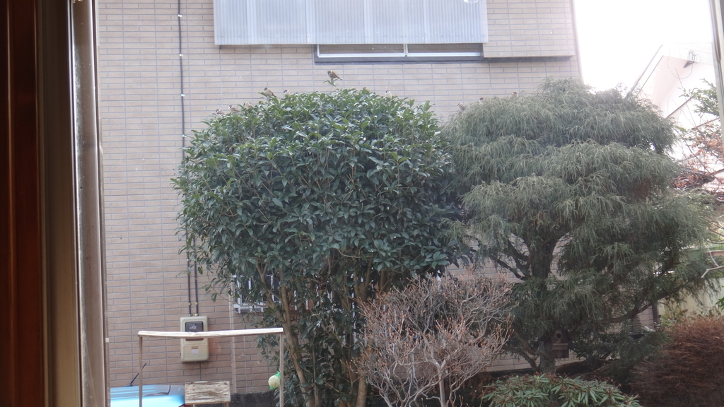 f:id:cafelegume:20190130225149j:plain
