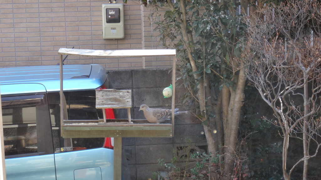 f:id:cafelegume:20190130231905j:plain