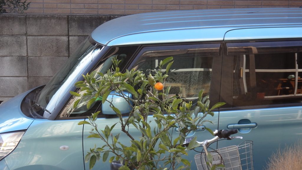 f:id:cafelegume:20190130235549j:plain