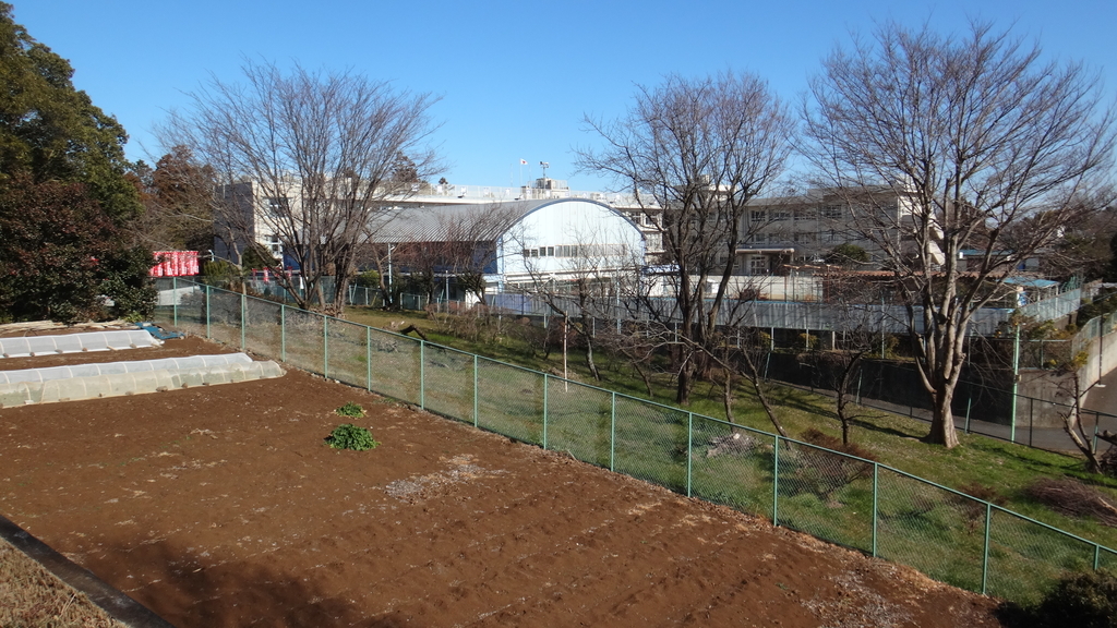 f:id:cafelegume:20190208025604j:plain f:id:cafelegume:20190208025604j:plain